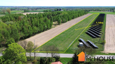 Na sprzedaż działka rolna - Grzybów - świętokrzyskie