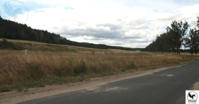 Na sprzedaż działka budowlana - Milcz -
wielkopolskie Zdjęcie nr 10