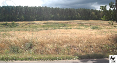 Na sprzedaż działka budowlana - Milcz -
wielkopolskie Zdjęcie nr 12