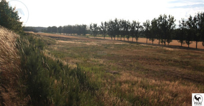 Na sprzedaż działka budowlana - Milcz -
wielkopolskie Zdjęcie nr 13