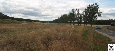 Na sprzedaż działka budowlana - Milcz -
wielkopolskie Zdjęcie nr 14