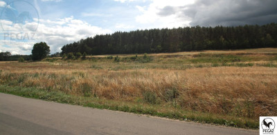 Na sprzedaż działka budowlana - Milcz -
wielkopolskie Zdjęcie nr 8