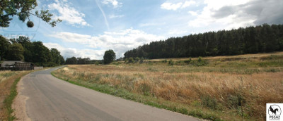 Na sprzedaż działka budowlana - Milcz -
wielkopolskie Zdjęcie nr 9