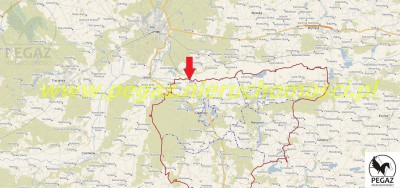 Na sprzedaż działka rolna - Milcz -
wielkopolskie Zdjęcie nr 4