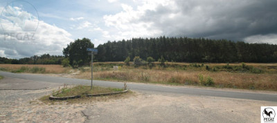 Na sprzedaż działka rolna - Milcz -
wielkopolskie Zdjęcie nr 10