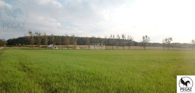 Na sprzedaż działka rolna - Milcz -
wielkopolskie Zdjęcie nr 7