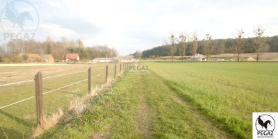 Na sprzedaż działka rolna - Milcz -
wielkopolskie Zdjęcie nr 8