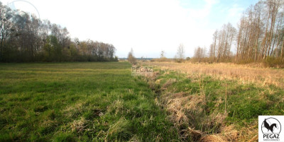 Na sprzedaż działka inwestycyjna - Milcz - wielkopolskie