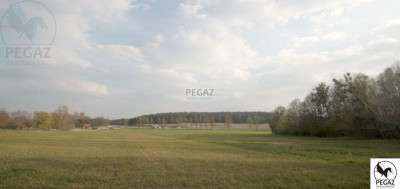 Na sprzedaż działka inwestycyjna - Milcz -
wielkopolskie Zdjęcie nr 7