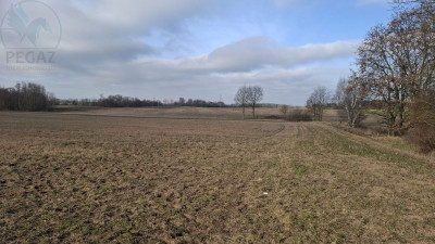 Na sprzedaż działka budowlana - Piastowice -
wielkopolskie Zdjęcie nr 4