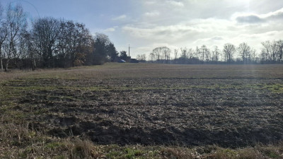 Na sprzedaż działka budowlana - Piastowice -
wielkopolskie Zdjęcie nr 5