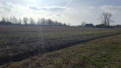 Na sprzedaż działka budowlana - Piastowice -
wielkopolskie Zdjęcie nr 7