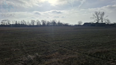 Na sprzedaż działka budowlana - Piastowice -
wielkopolskie Zdjęcie nr 8