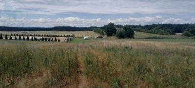 Na sprzedaż działka budowlana - Rokitno -
lubuskie Zdjęcie nr 2