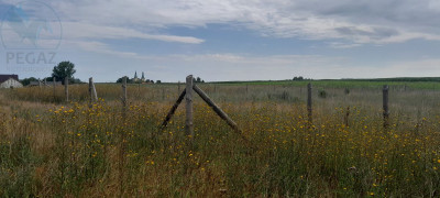 Na sprzedaż działka budowlana - Rokitno -
lubuskie Zdjęcie nr 3