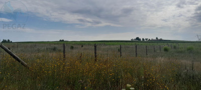 Na sprzedaż działka budowlana - Rokitno -
lubuskie Zdjęcie nr 4