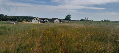 Na sprzedaż działka budowlana - Rokitno -
lubuskie Zdjęcie nr 5