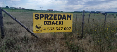 Na sprzedaż działka budowlana - Rokitno -
lubuskie Zdjęcie nr 7
