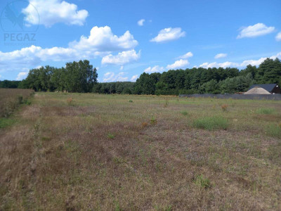 Na sprzedaż działka budowlana - Chycina -
lubuskie Zdjęcie nr 2