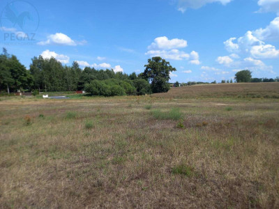 Na sprzedaż działka budowlana - Chycina -
lubuskie Zdjęcie nr 3