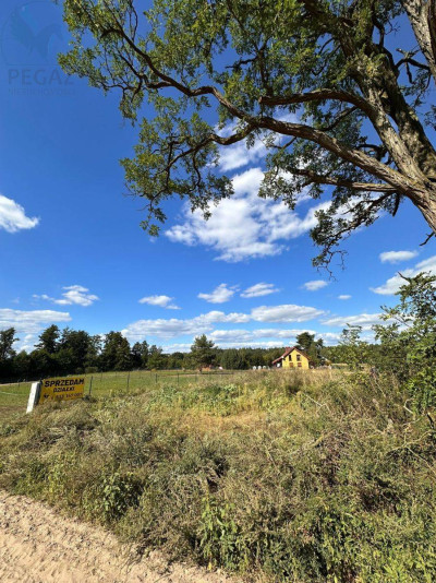 Na sprzedaż działka budowlana - Kursko -
lubuskie Zdjęcie nr 2