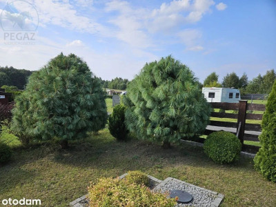 Na sprzedaż działka rolna - Sianożęty -
zachodniopomorskie Zdjęcie nr 13