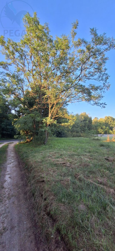 Na sprzedaż działka budowlana - Szumiąca - lubuskie
