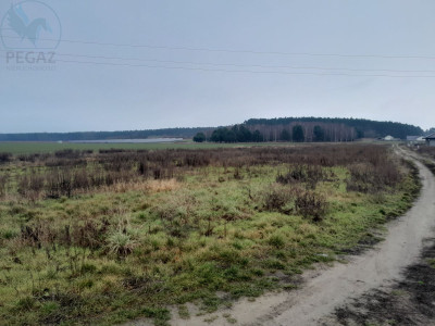 Na sprzedaż działka budowlana - Kuźnik -
lubuskie Zdjęcie nr 3