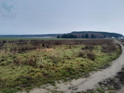 Na sprzedaż działka budowlana - Kuźnik -
lubuskie Zdjęcie nr 6