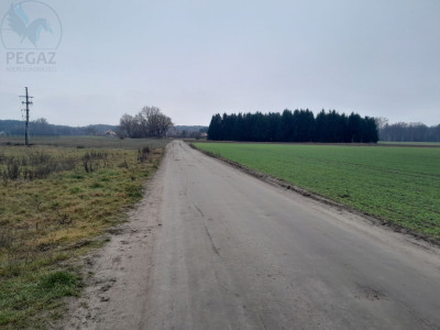 Na sprzedaż działka budowlana - Kuźnik -
lubuskie Zdjęcie nr 8