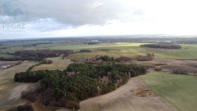 Na sprzedaż działka budowlana - Pruszewiec -
wielkopolskie Zdjęcie nr 4