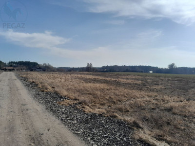 Na sprzedaż działka budowlana - Kuźnik -
lubuskie Zdjęcie nr 2