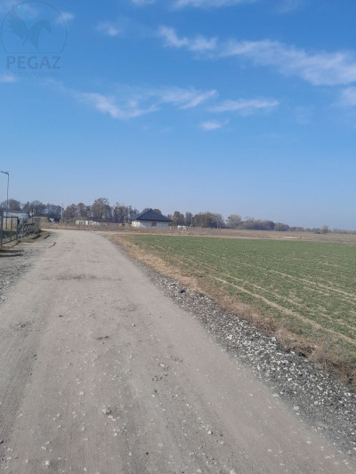 Na sprzedaż działka budowlana - Kuźnik -
lubuskie Zdjęcie nr 5