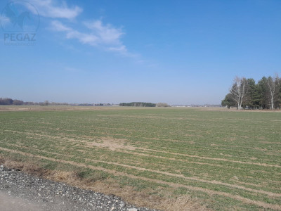 Na sprzedaż działka budowlana - Kuźnik -
lubuskie Zdjęcie nr 6