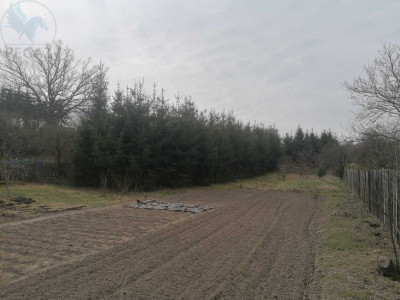 Na sprzedaż działka budowlana - Nietoperek -
lubuskie Zdjęcie nr 2