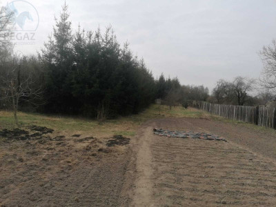 Na sprzedaż działka budowlana - Nietoperek -
lubuskie Zdjęcie nr 3