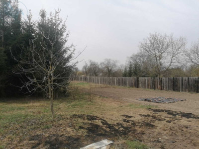 Na sprzedaż działka budowlana - Nietoperek -
lubuskie Zdjęcie nr 4