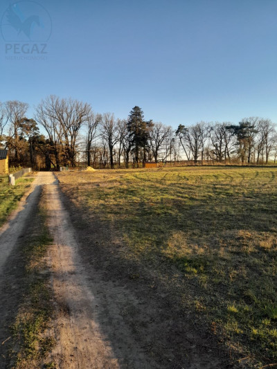 Na sprzedaż działka budowlana - Chycina - lubuskie