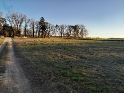 Na sprzedaż działka budowlana - Chycina -
lubuskie Zdjęcie nr 2