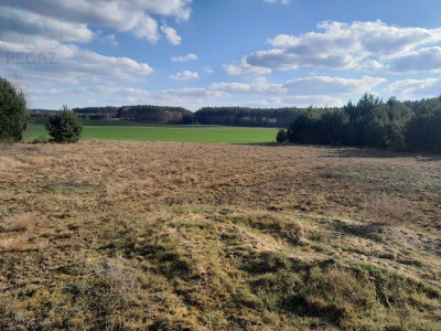 Na sprzedaż działka budowlana - Stoki -
lubuskie Zdjęcie nr 2