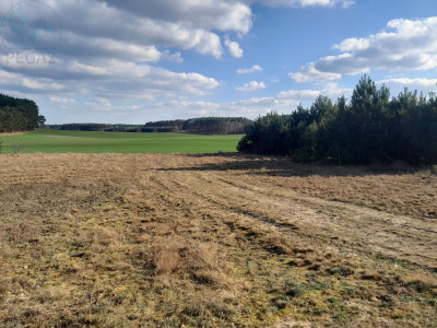 Na sprzedaż działka budowlana - Stoki -
lubuskie Zdjęcie nr 3