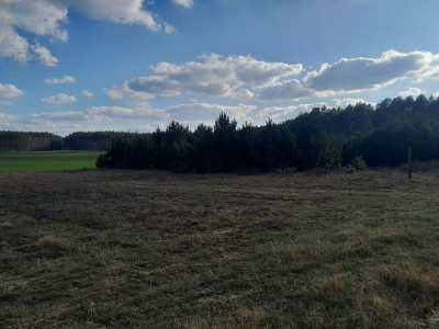 Na sprzedaż działka budowlana - Stoki -
lubuskie Zdjęcie nr 4