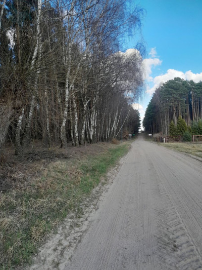 Na sprzedaż działka budowlana - Stoki -
lubuskie Zdjęcie nr 7
