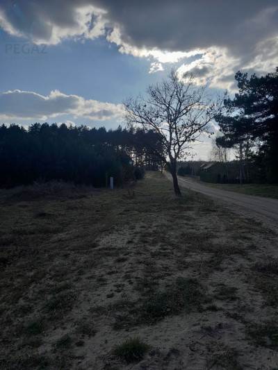 Na sprzedaż działka budowlana - Stoki -
lubuskie Zdjęcie nr 8