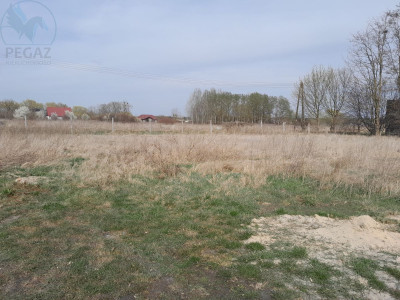 Na sprzedaż działka budowlana - Międzyrzecz -
lubuskie Zdjęcie nr 4