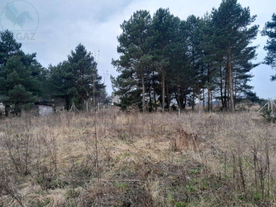 Na sprzedaż działka budowlana - Kuźnik -
lubuskie Zdjęcie nr 6