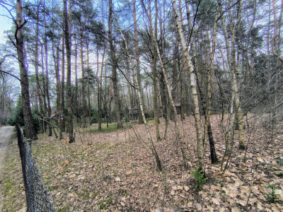 Zofiówka 1010 m ciszy blisko Łodzi - Zofiówka  -
Łódzkie Zdjęcie nr 4