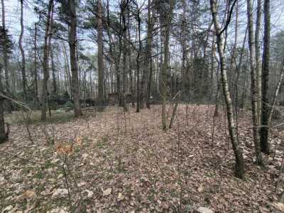 Zofiówka 1010 m ciszy blisko Łodzi - Zofiówka  -
Łódzkie Zdjęcie nr 5
