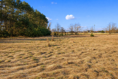 Działka budowlana MPZP  Sierosław  1584 m2 - Sierosław  -
Wielkopolskie Zdjęcie nr 3