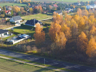 Sady pod Poznaniem  Działka z brzozami  1544 m2 - Sady  -
Wielkopolskie Zdjęcie nr 2